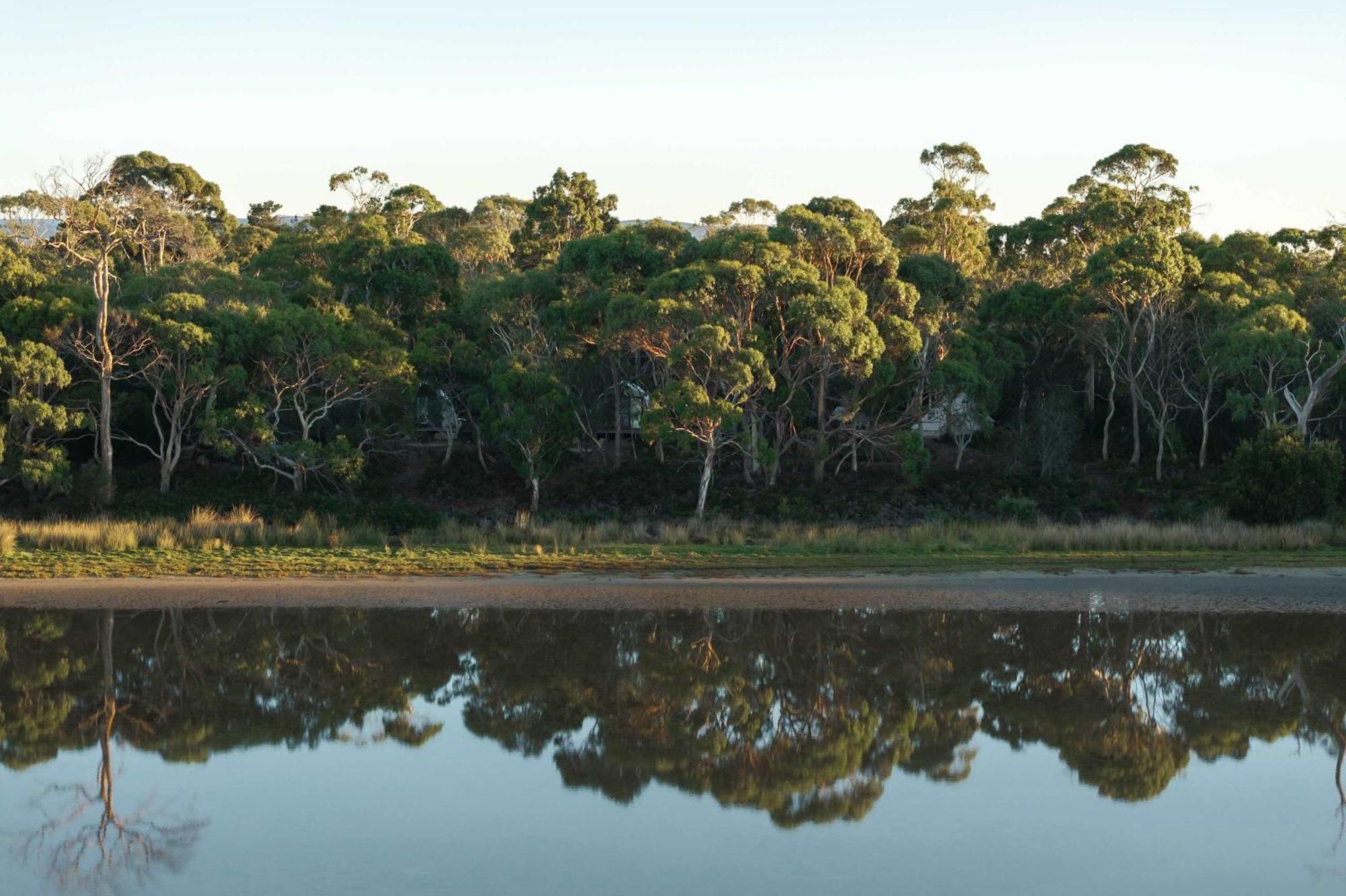Отель Numie - Freycinet Peninsula - Glamping - Heated - Waterfront Коулс-Бей Экстерьер фото