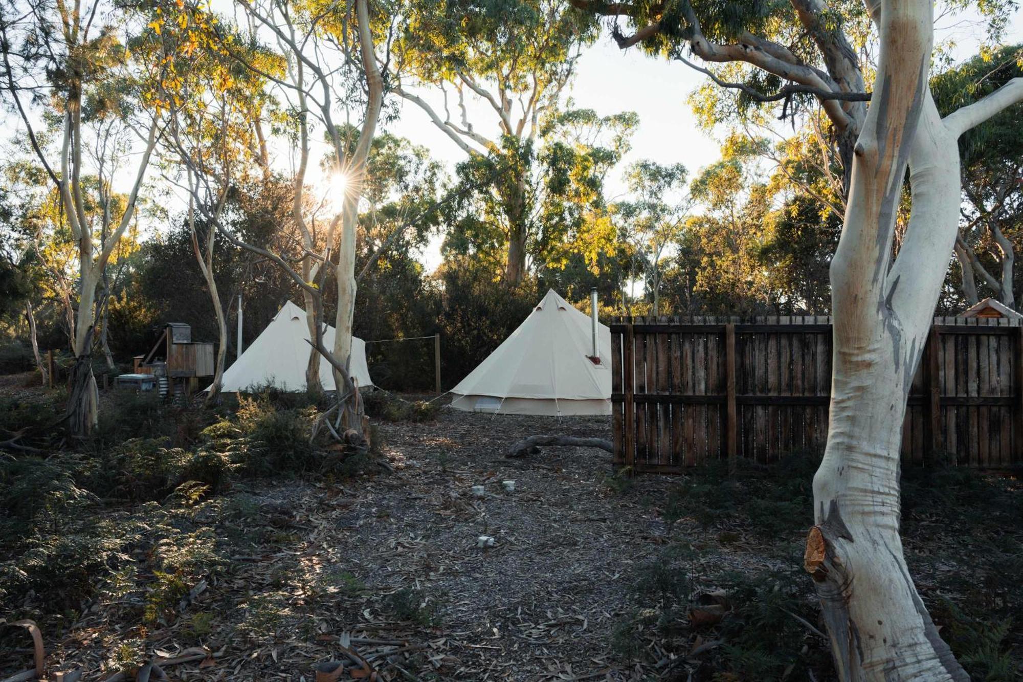 Отель Numie - Freycinet Peninsula - Glamping - Heated - Waterfront Коулс-Бей Экстерьер фото