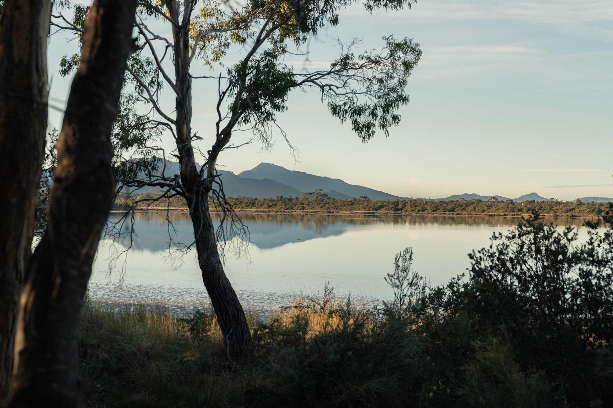Отель Numie - Freycinet Peninsula - Glamping - Heated - Waterfront Коулс-Бей Экстерьер фото